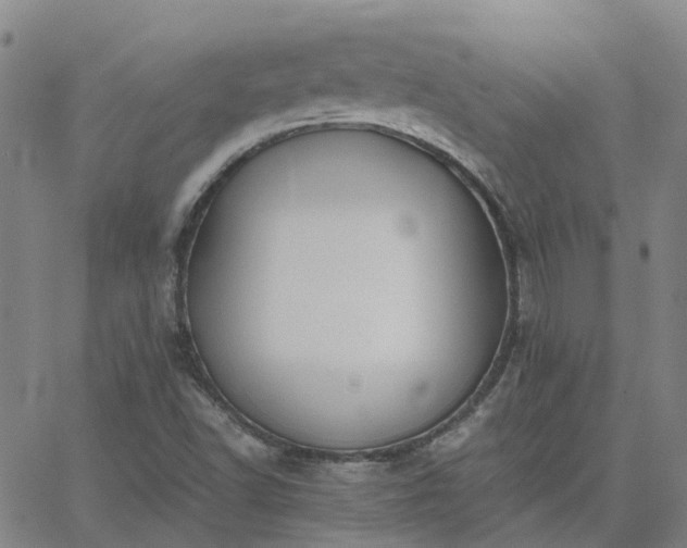 X0000063461502200601271551