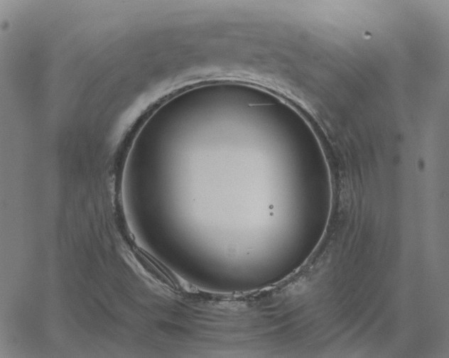 X0000063461503200601271551