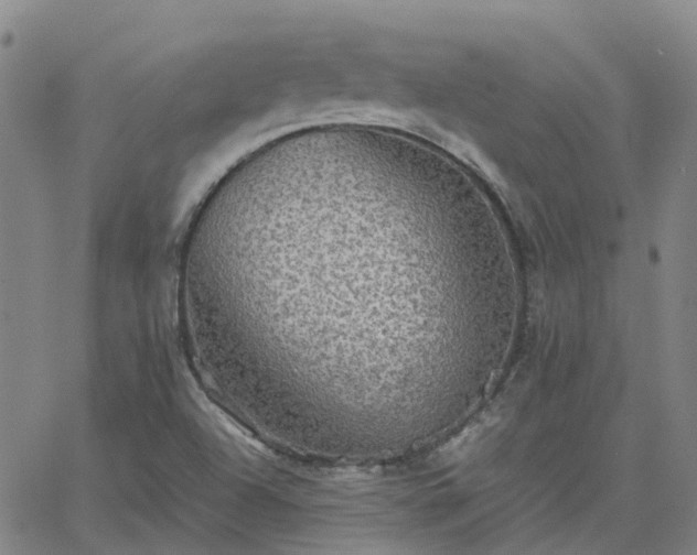 X0000063461504200601271551