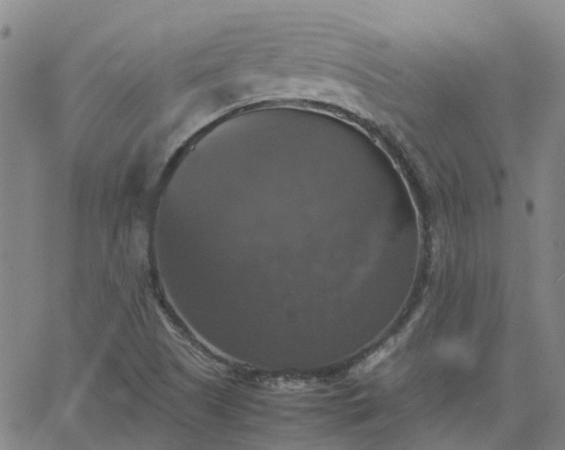 X0000063461505200601271551