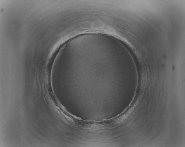 X0000063461506200601271551