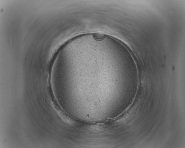 X0000063461507200601271551