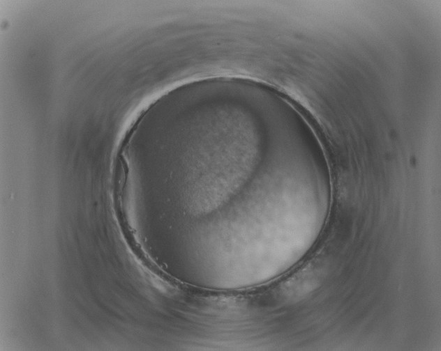 X0000063461508200601271551