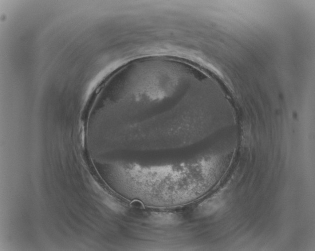 X0000063461509200601271551