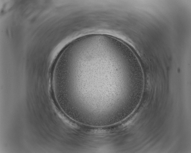 X0000063461511200601271551