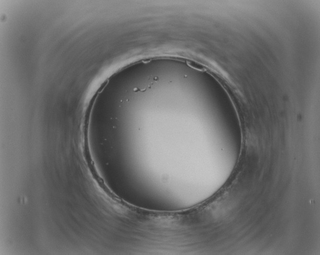 X0000063461512200601271551