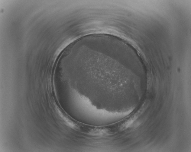 X0000063461513200601271551