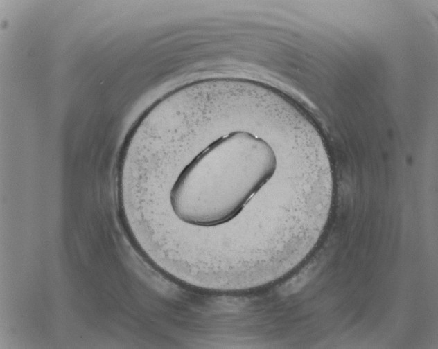 X0000063461514200601271551