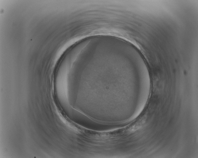 X0000063461515200601271551