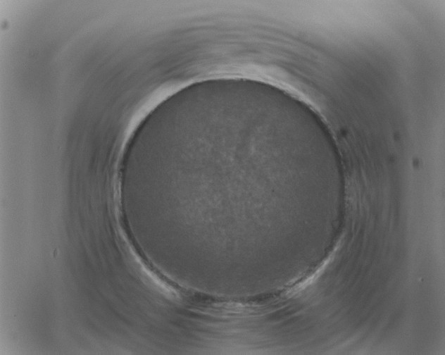 X0000063461517200601271551