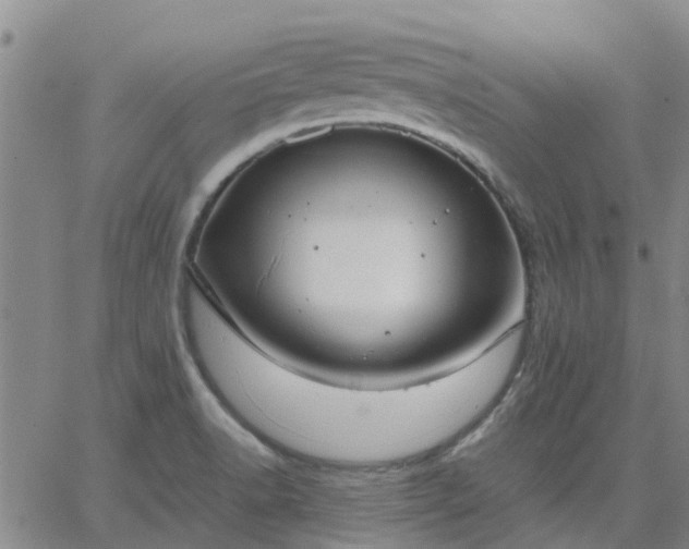 X0000063461518200601271551