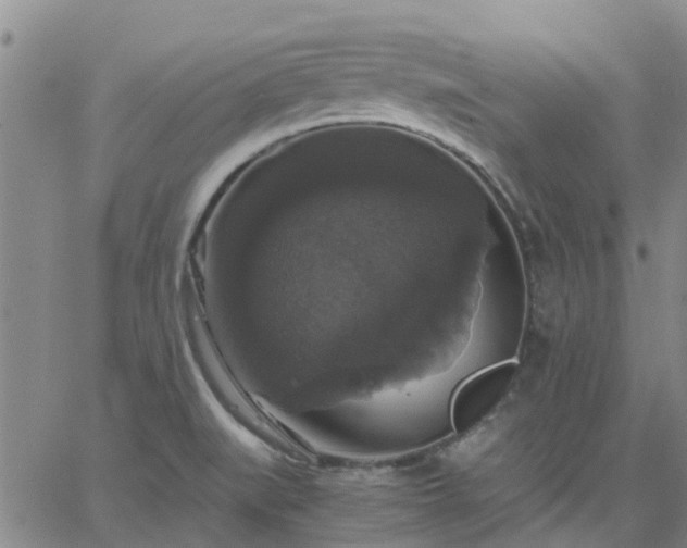 X0000063461519200601271551