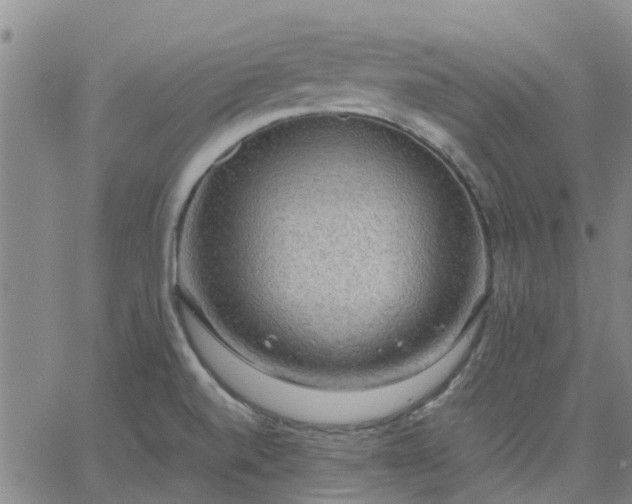 X0000063461520200601271551