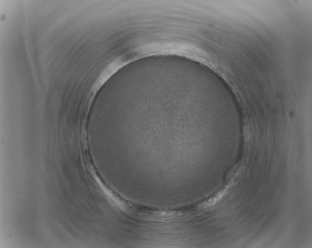 X0000063461521200601271551