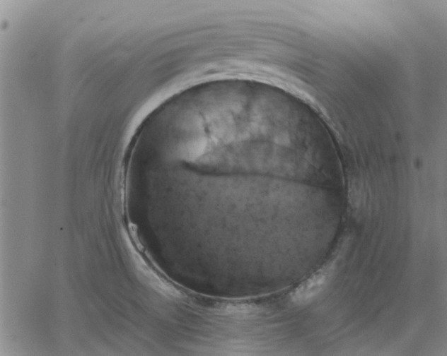 X0000063461522200601271551