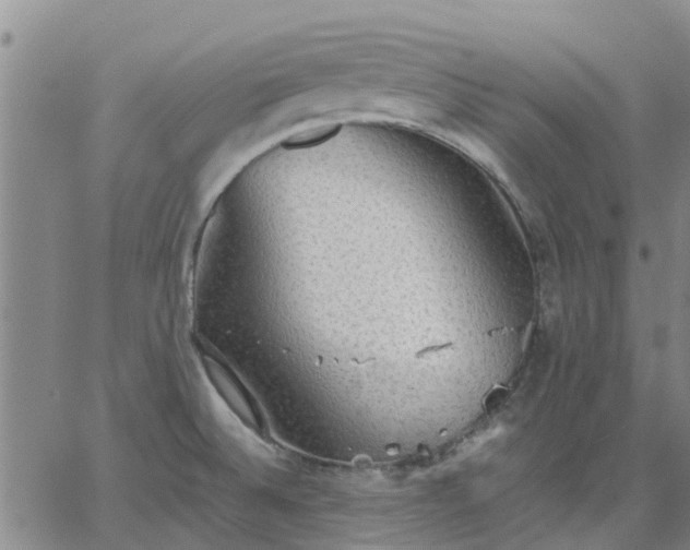 X0000063461524200601271551