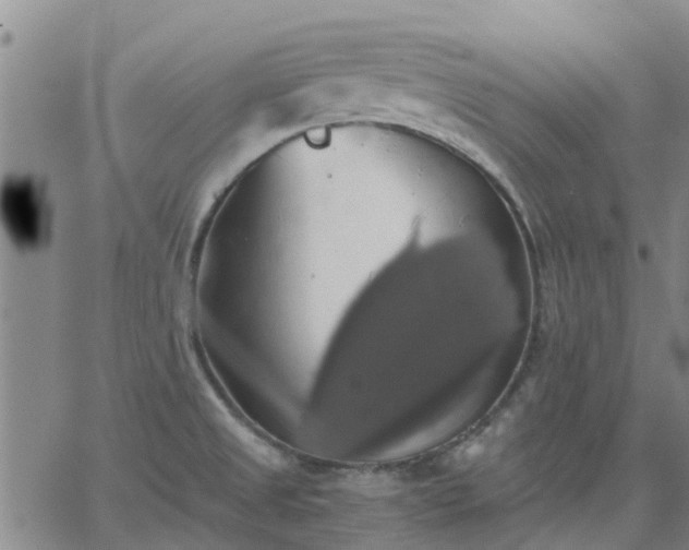 X0000063461525200601271551