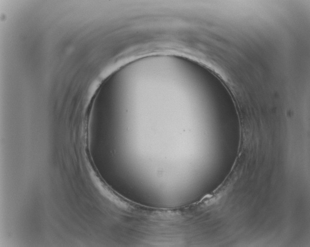 X0000063461526200601271551