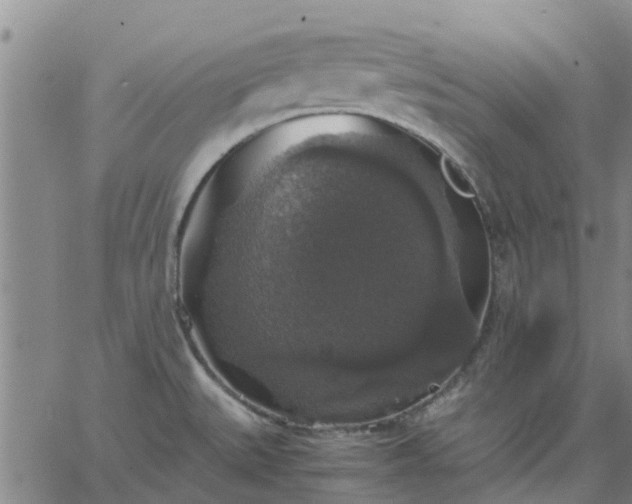 X0000063461527200601271551