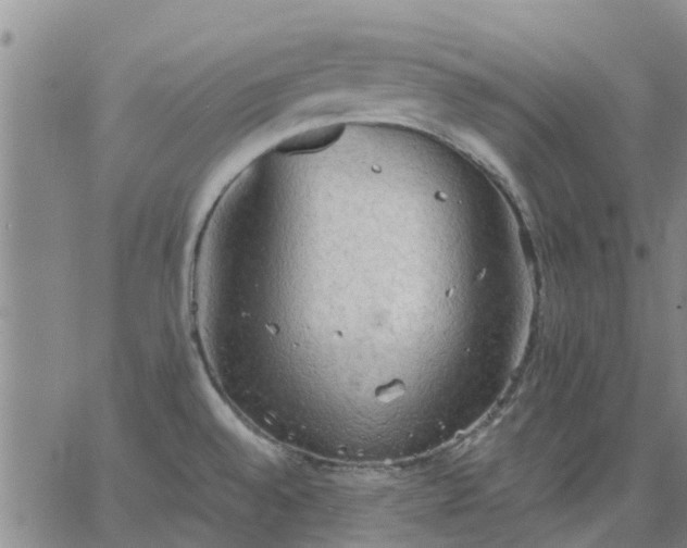 X0000063461528200601271551