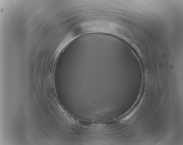 X0000063461529200601271551