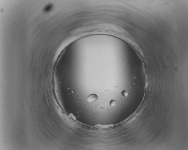 X0000063461530200601271551