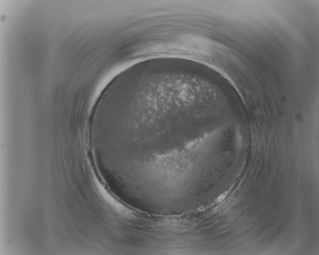 X0000063461531200601271551