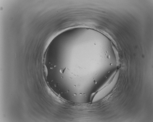 X0000063461532200601271551