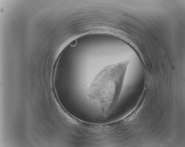 X0000063461533200601271551