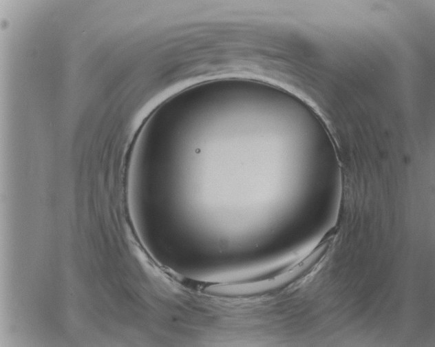 X0000063461534200601271551