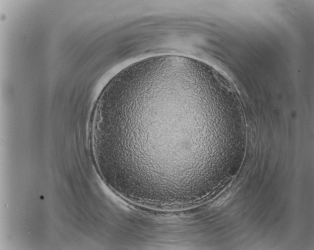 X0000063461535200601271551