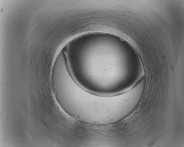 X0000063461536200601271552