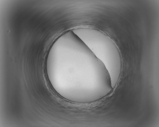 X0000063460001200602031846