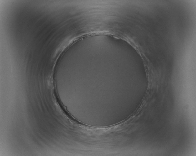 X0000063460002200602031846