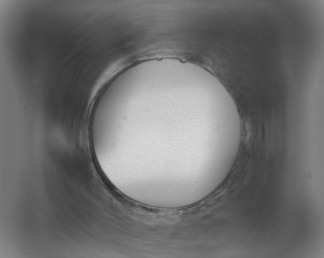 X0000063460004200602031846