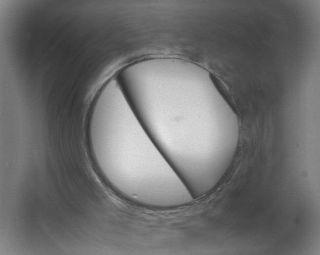 X0000063460005200602031846