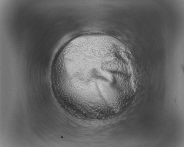 X0000063460006200602031846