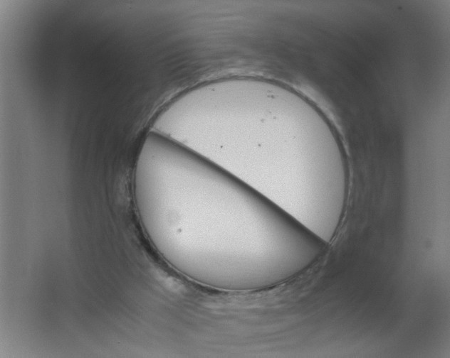 X0000063460009200602031846