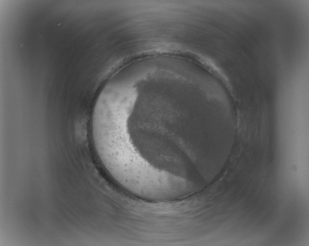 X0000063460010200602031846