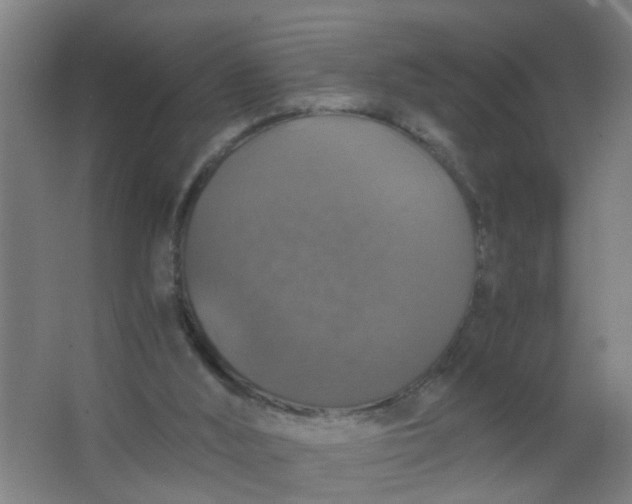 X0000063460012200602031846