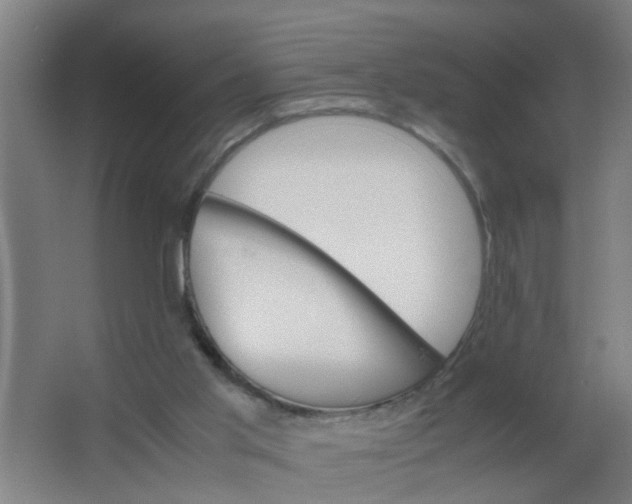 X0000063460013200602031846