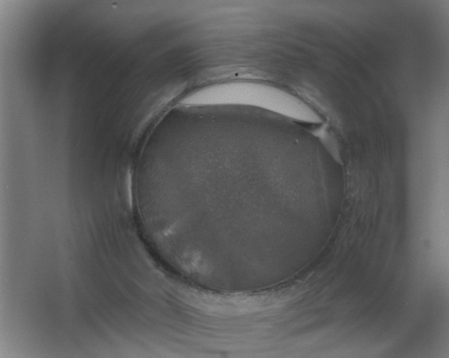 X0000063460014200602031846