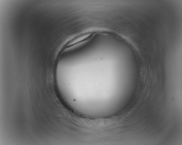 X0000063460015200602031846