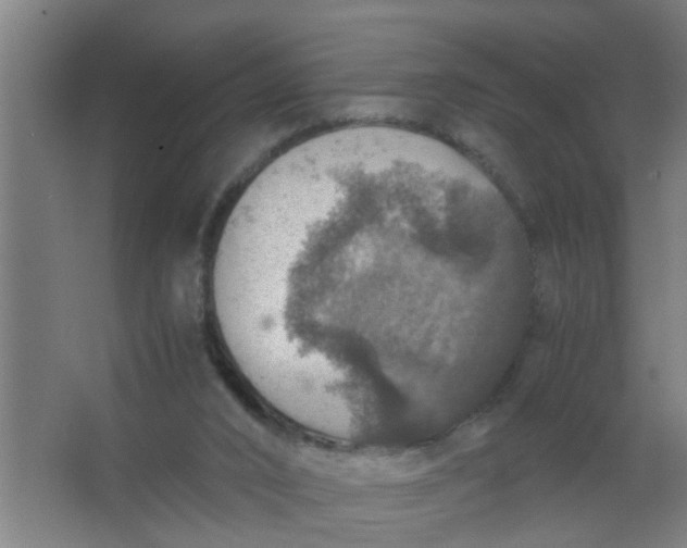 X0000063460016200602031846