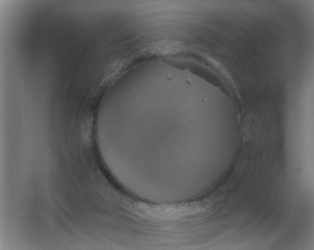 X0000063460018200602031845