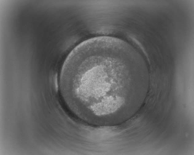 X0000063460020200602031845