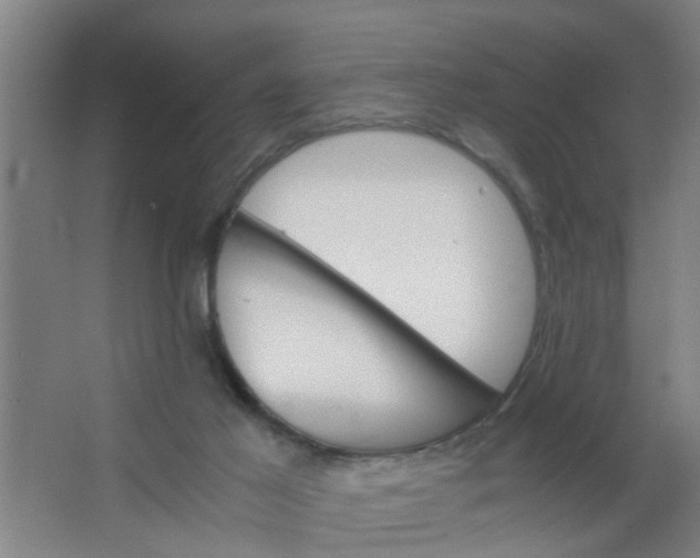 X0000063460021200602031845