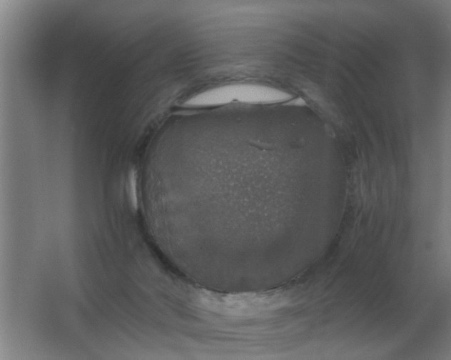 X0000063460022200602031845