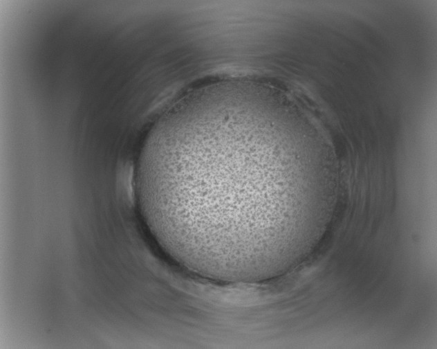 X0000063460024200602031845