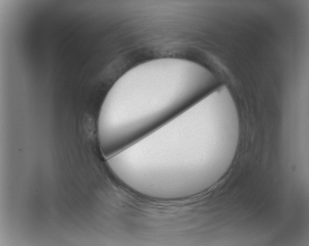 X0000063460025200602031845